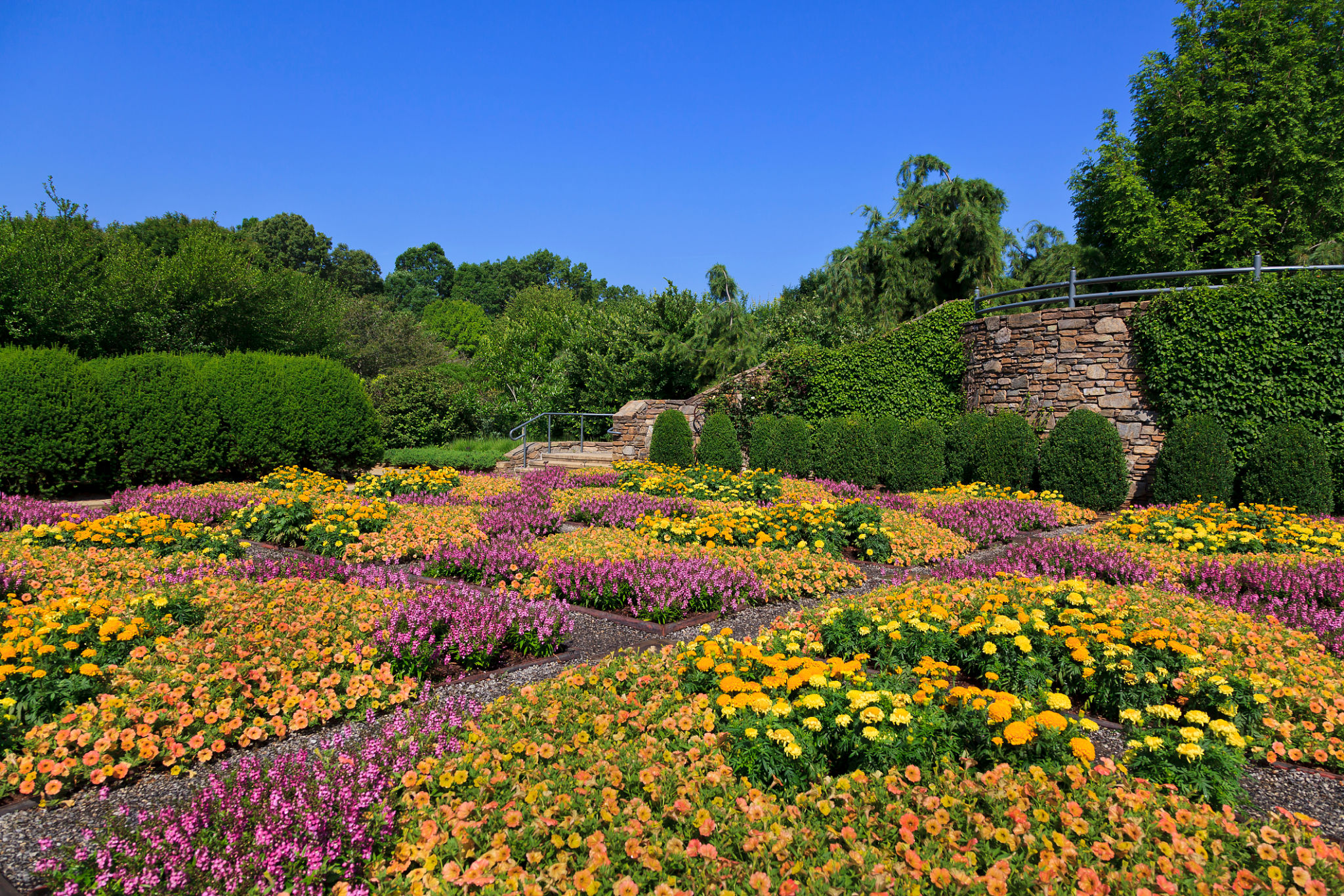 bartlett arboretum
