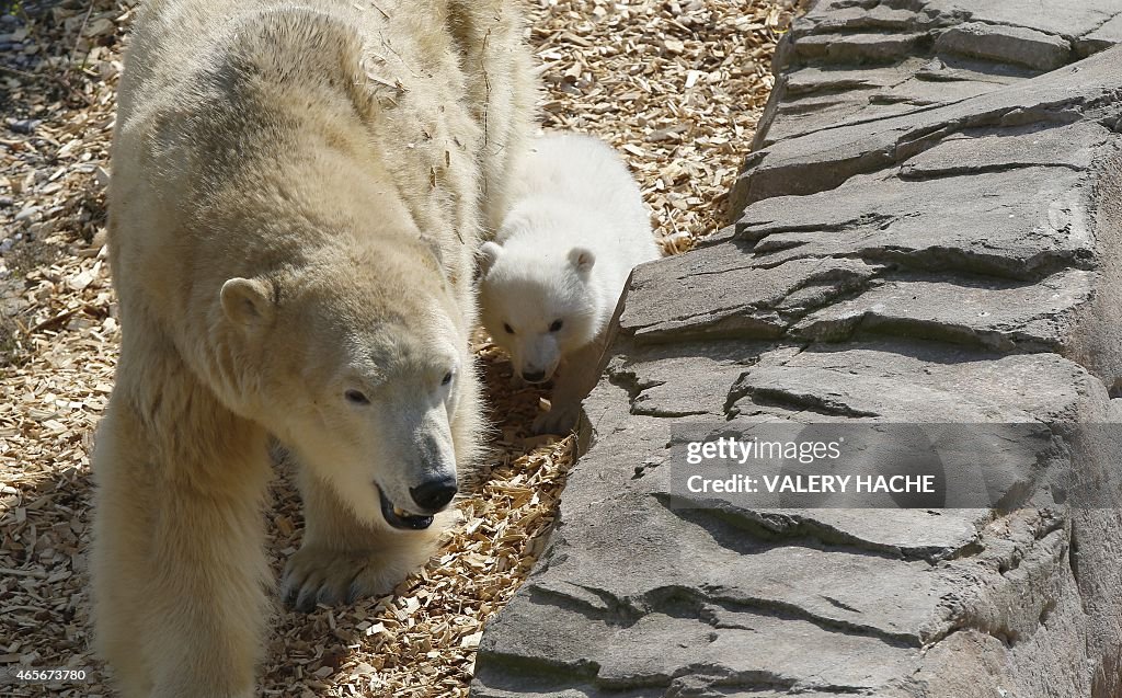 FRANCE-ANIMAL-BEAR