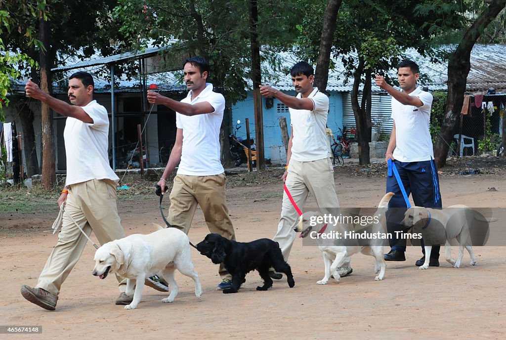 Police Dog Squad Training