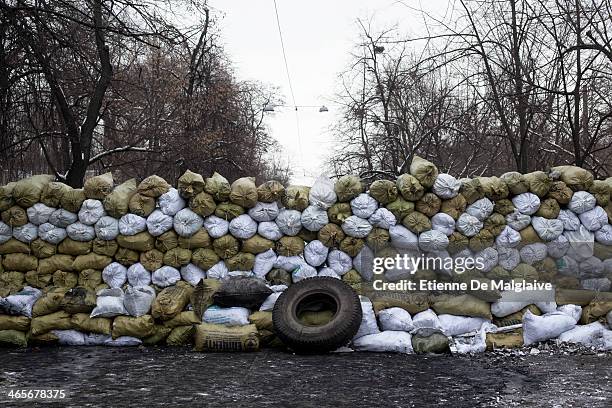 Reinforced barricade stands near the Dynamo Stadium main gate on January 28, 2014 in Kiev, Ukraine. While Ukrainian parliament holds an emergency...