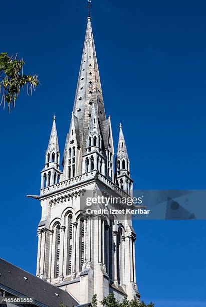 st martin church in neo gothic style in pau,france - pau france stock pictures, royalty-free photos & images