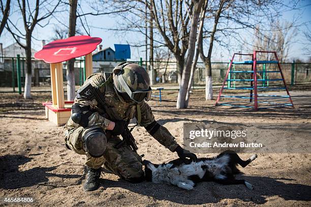 Ukrainian soldier from the Azov Battalion pets a stray dog in the playground of a school that has been converted into temporary barracks for soldiers...