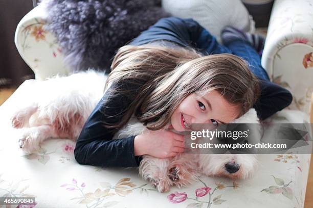 a girl and her westie - west highland white terrier stock-fotos und bilder