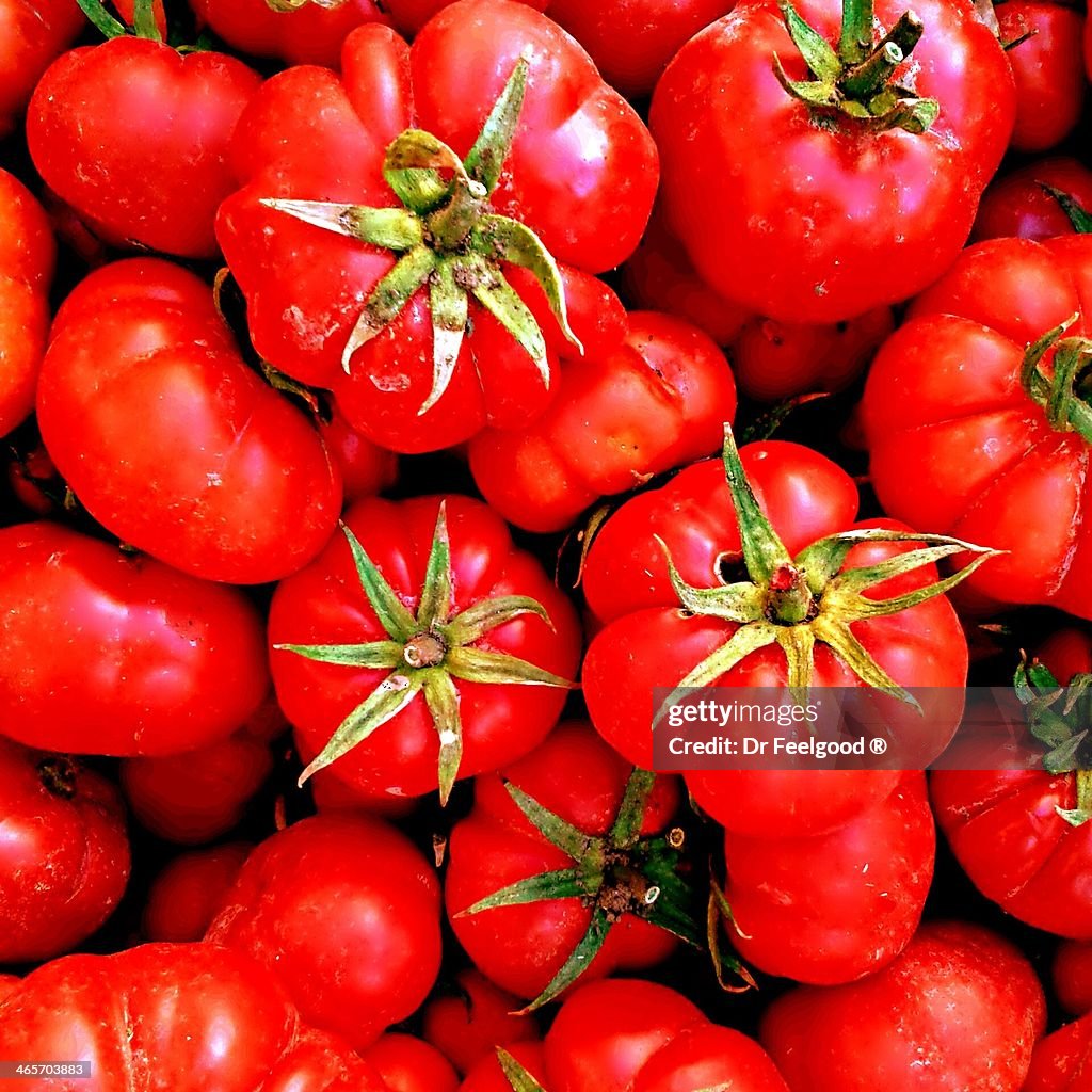 Tomato