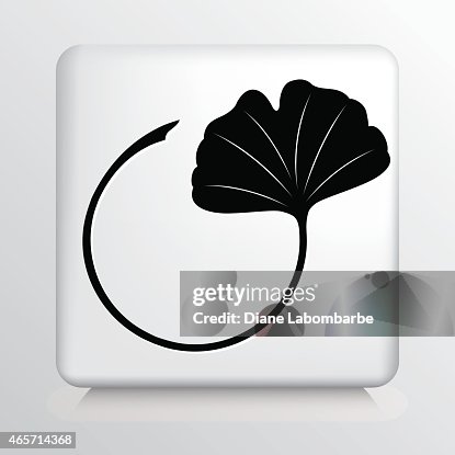 Square Icon with Gingko Leaf Black Silhouette Square Icon with Gingko Leaf Black Silhouette