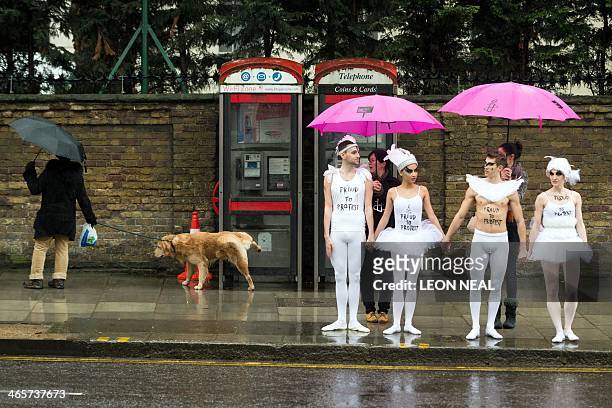 Dog urinates on a phonebox as ballet dancers prepare to perform a scene from "Swan Lake" during a protest near to the Russian embassy in London on...