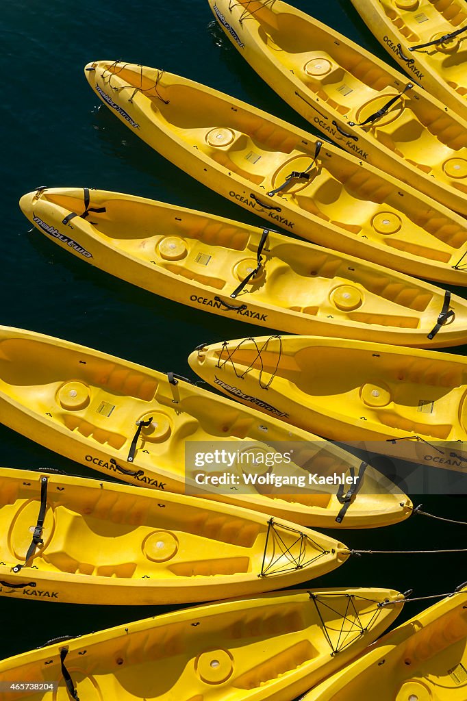 Yellow kayaks tied up to the cruise ship Safari Endeavour in...