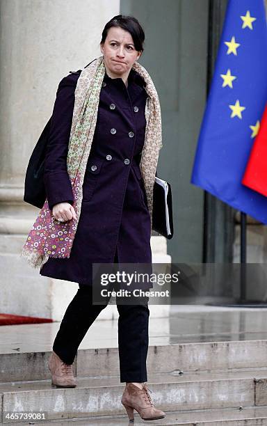 Minister for Equality of Territories and Housing, Cecile Duflot leaves the Elysee Palace after the weekly cabinet meeting on January 29 in Paris,...