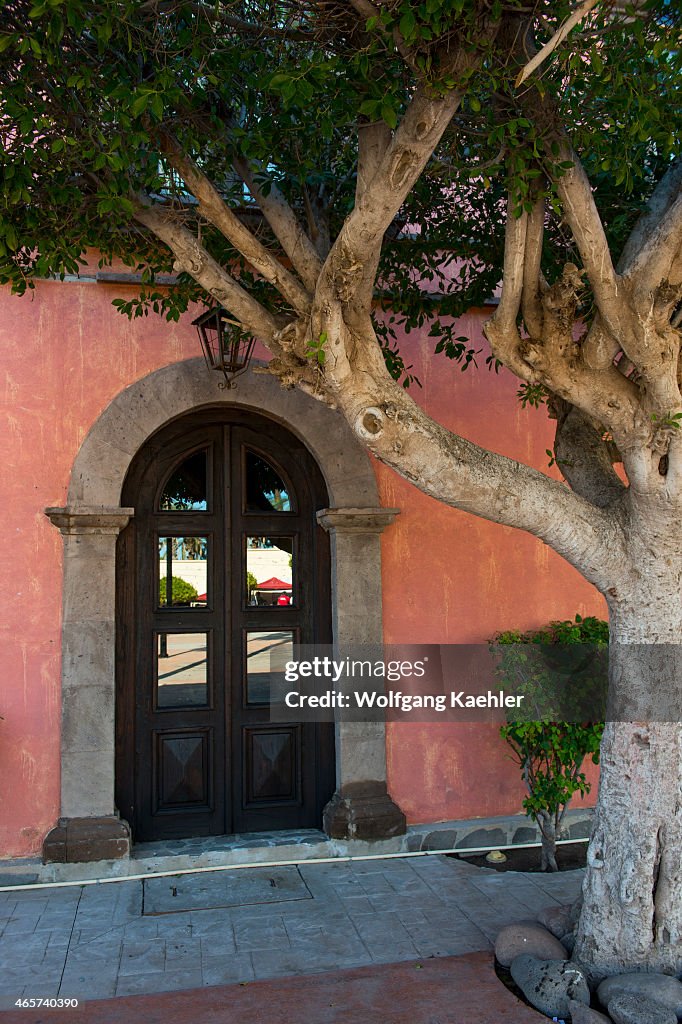 A tree in front of the hotel Posada de los Flores on the...