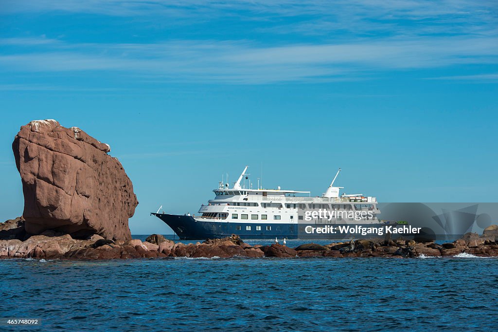 Cruise ship Safari Endeavour with California sea lion (...