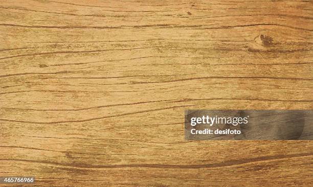 stockillustraties, clipart, cartoons en iconen met grunge vector wooden background - woodland