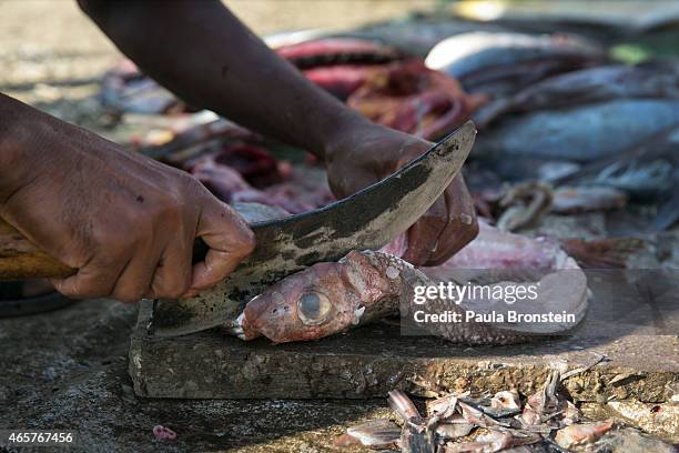 Rohinga Fish 39 Thae Chaung Stock Photos, High-Res Pictures, and Images - Getty Images