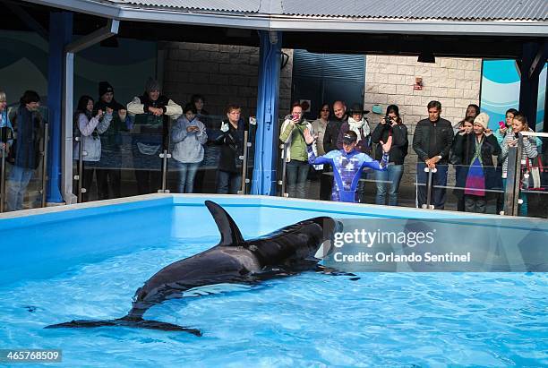 Trainers work with Orcas during a show at the Shamu Up Close attraction at Sea World in Orlando, Fla., Jan. 7, 2014.