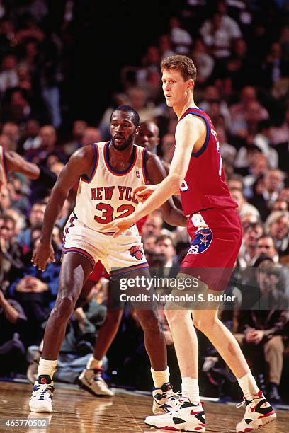 Shawn Bradley of the Philadelphia 76ers stands against Herb Williams of the New York Knicks on November 9, 1993 at Madison Square Garden in New York...