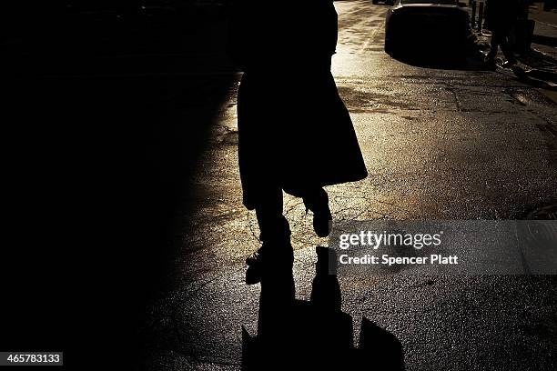 The silhouette of a man is viewed in strong afternoon sunlight on January 29, 2014 in New York City. Despite another day of frigid temperatures, New...