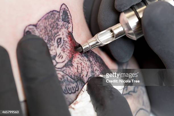 tattoo artist, drawing a lion cub on skin - lion tattoo stock-fotos und bilder