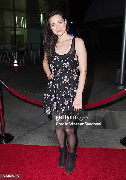 Actress Jules Willcox attends the Los Angeles Premiere of "Best Night Ever" at ArcLight Cinemas on January 29, 2014 in Hollywood, California.