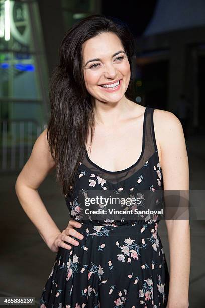 Actress Jules Willcox attends the Los Angeles Premiere of "Best Night Ever" at ArcLight Cinemas on January 29, 2014 in Hollywood, California.