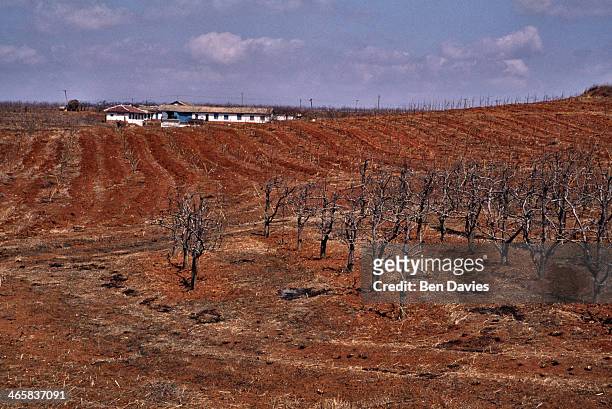 Arid farmland to the west of the North Korean capital Pyongyang. Desperately poor and with its economy still failing after years of mismanagement,...