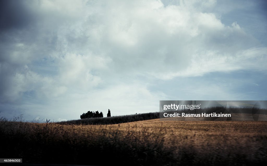 Tuscany Field