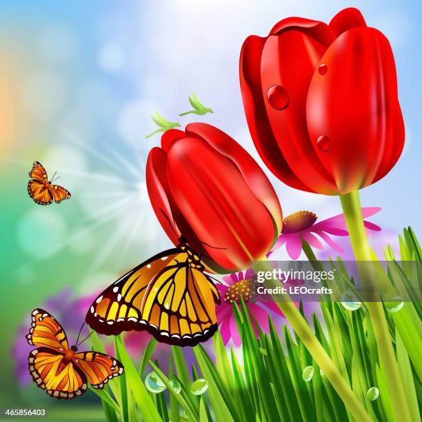 spring background - flowers dew stock illustrations