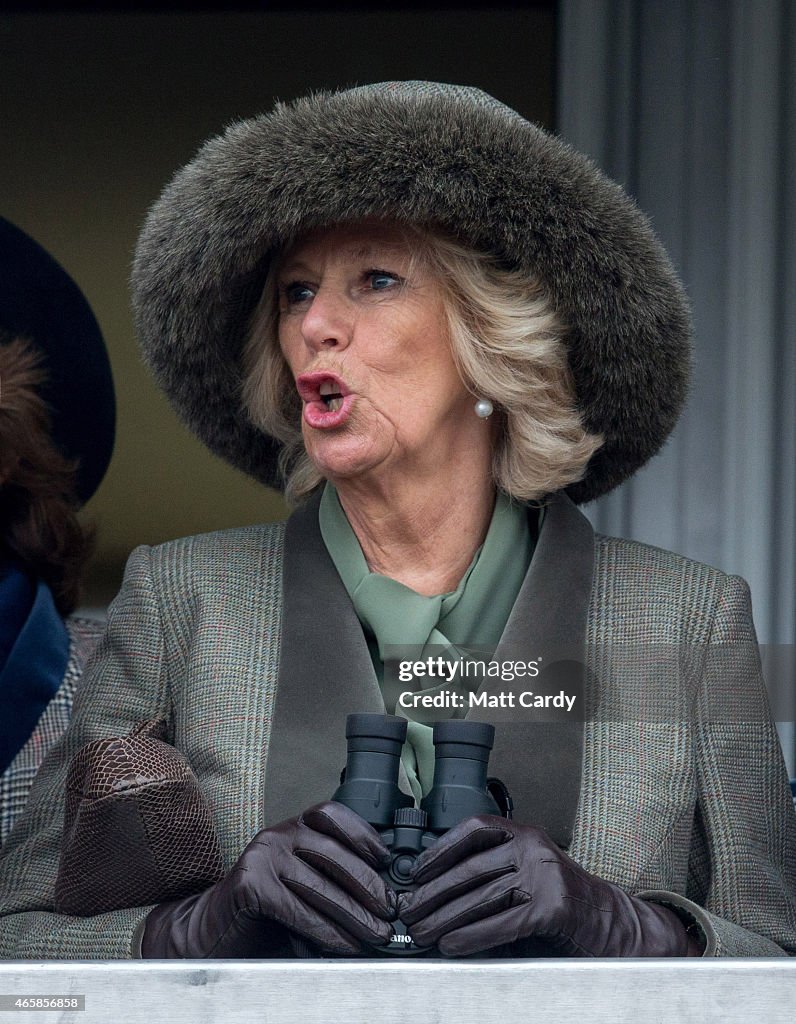 Duchess Of Cornwall Attends Cheltenham Races Ladies Day