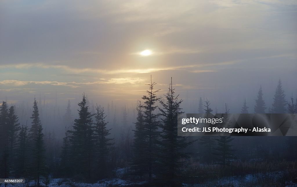Evening fog
