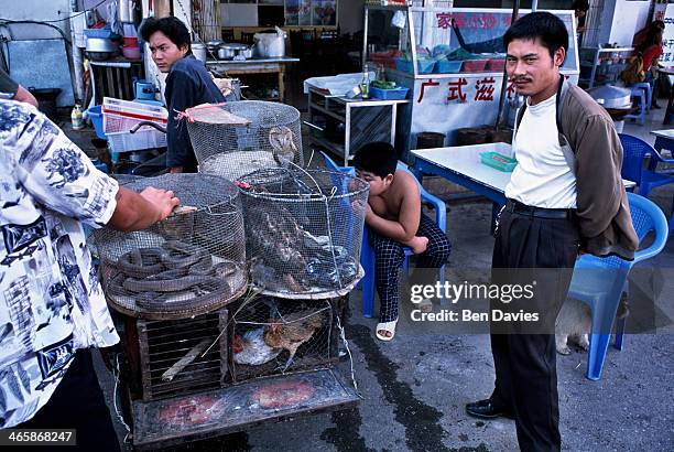 Snakes, badgers, rare birds, pangolins and monkeys are sold in the wildlife markets of Mongla, a remote town on the border with China. Much of the...
