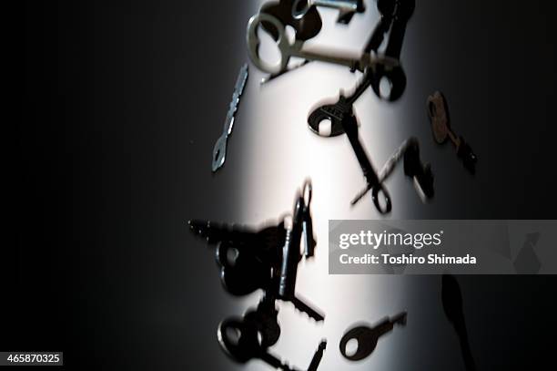 550 Dropped Keys Stock Photos, High-Res Pictures, and Images - Getty Images