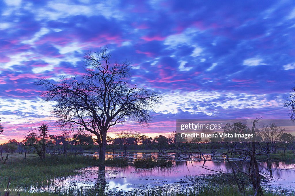 Sunrise over the Okavango Delta