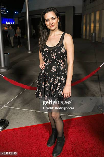 Actress Jules Willcox attends the "Best Night Ever" Los Angeles Premiere at ArcLight Cinemas on January 29, 2014 in Hollywood, California.