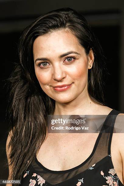 Actress Jules Willcox attends the "Best Night Ever" Los Angeles Premiere at ArcLight Cinemas on January 29, 2014 in Hollywood, California.