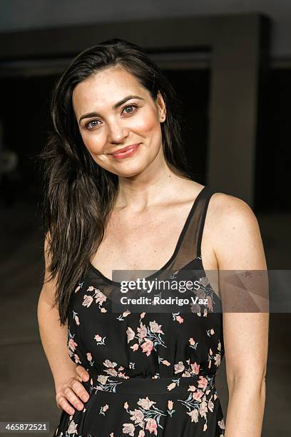 Actress Jules Willcox attends the "Best Night Ever" Los Angeles Premiere at ArcLight Cinemas on January 29, 2014 in Hollywood, California.