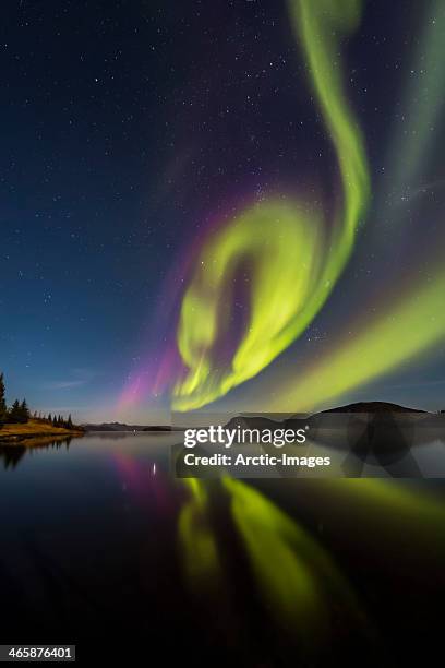 aurora borealis or northern lights - thingvellir stock pictures, royalty-free photos & images