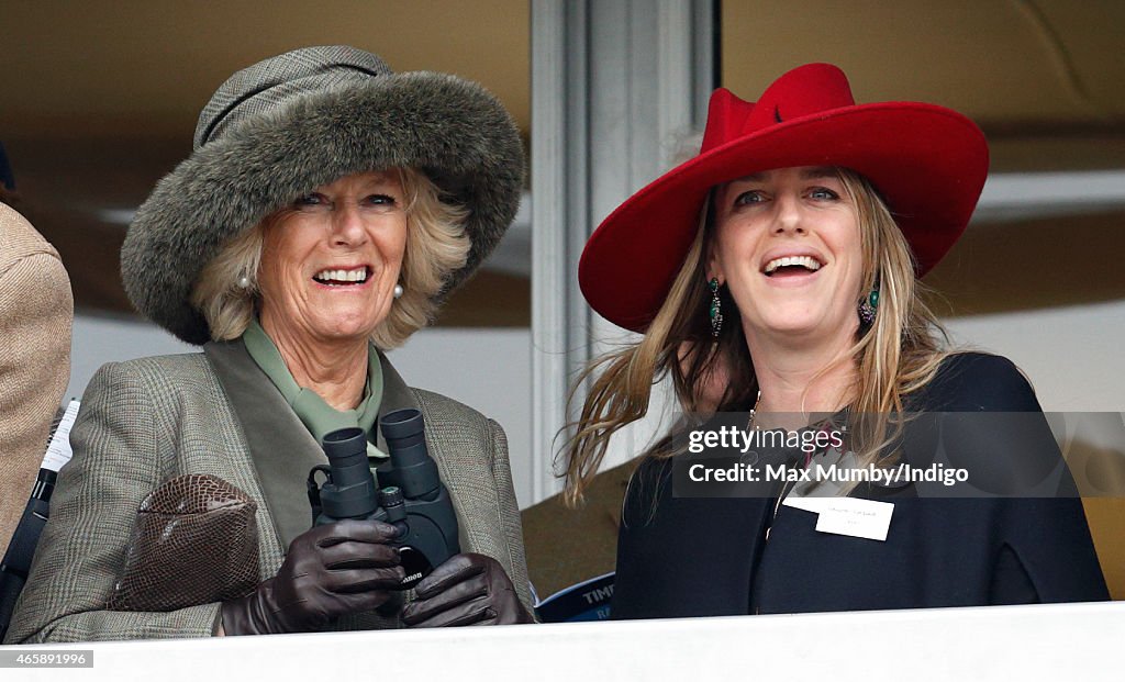Cheltenham Festival Of Horse Racing 2015