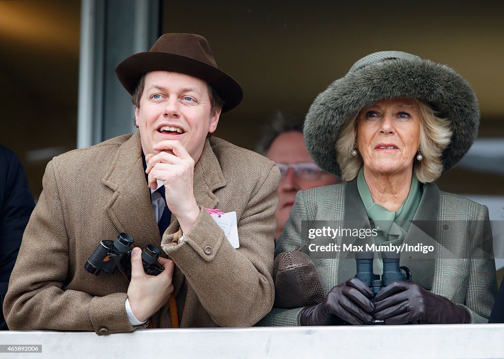 Cheltenham Festival Of Horse Racing 2015