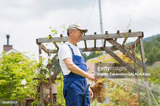 man watering plants - kanagawa stockfoto's en -beelden