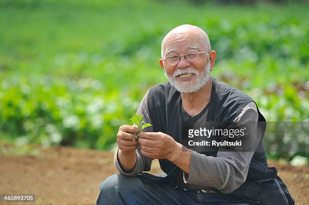 farmer with leaf smiling at camera - japanese ol stockfoto's en -beelden
