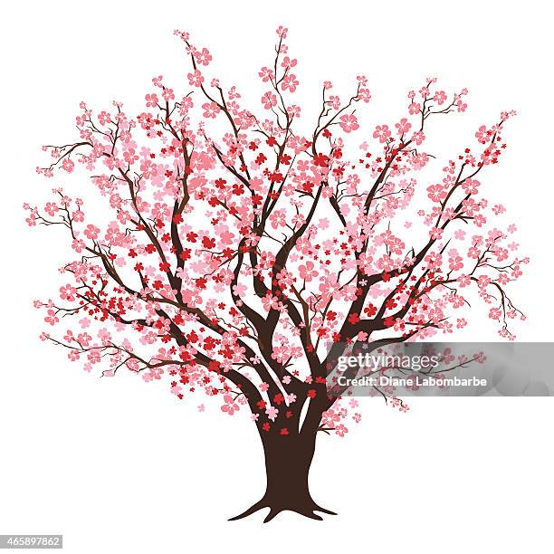 809点のサクラの木イラスト素材 Getty Images 809点のサクラの木イラスト素材 Getty Images