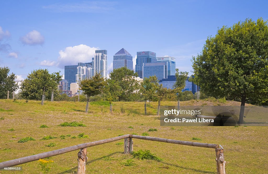 City farm in London Docklands with the view on skyscrapers...