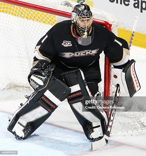 Jonas Hiller of the Anaheim Ducks defends the net during the game against the Boston Bruins on January 7, 2014 at Honda Center in Anaheim, California.