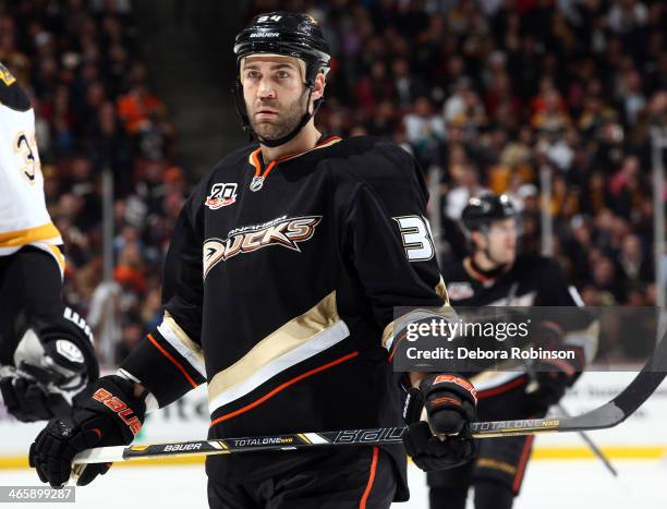 Daniel Winnik of the Anaheim Ducks looks on during the game against the Boston Bruins on January 7, 2014 at Honda Center in Anaheim, California.