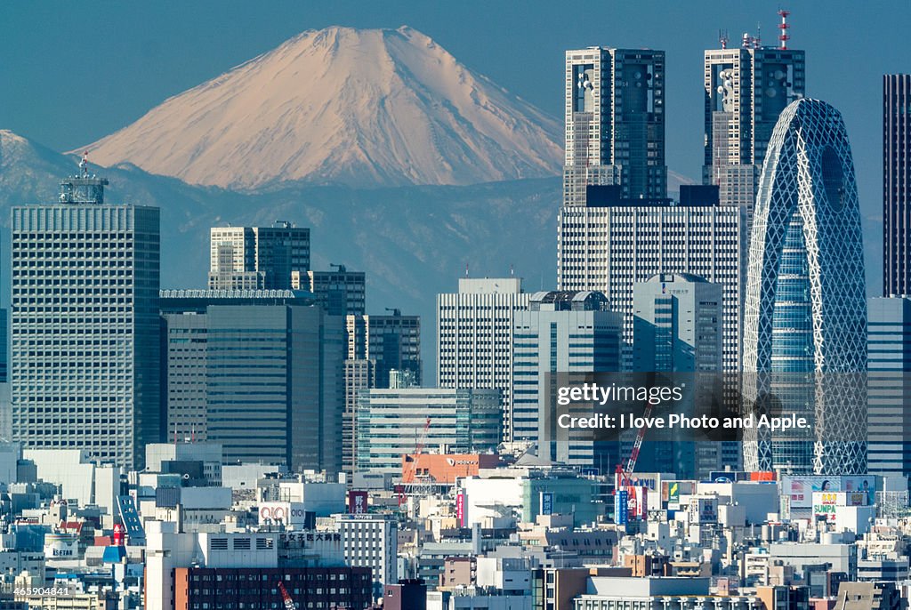 Fuji and Shinjuku