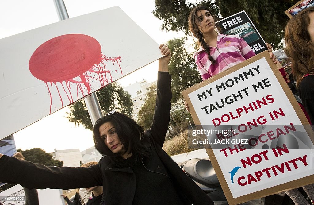 ISRAEL-JAPAN-ENVIRONMENT-DOLPHIN-DEMO