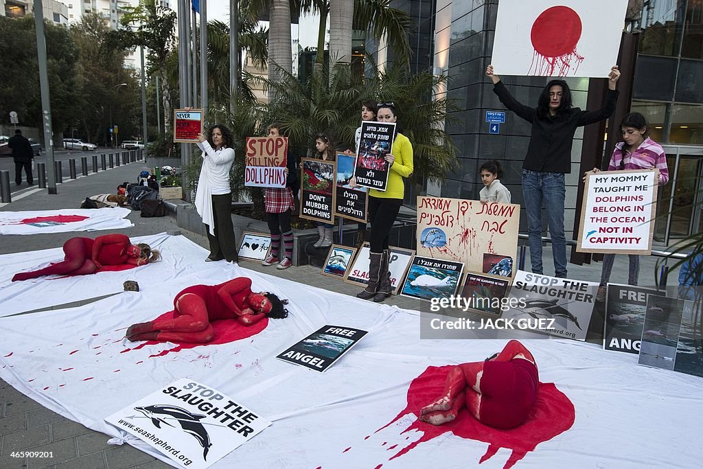 ISRAEL-JAPAN-ENVIRONMENT-DOLPHIN-DEMO