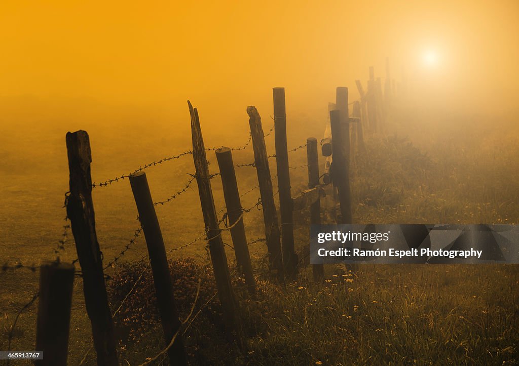 Fence, sun and fog