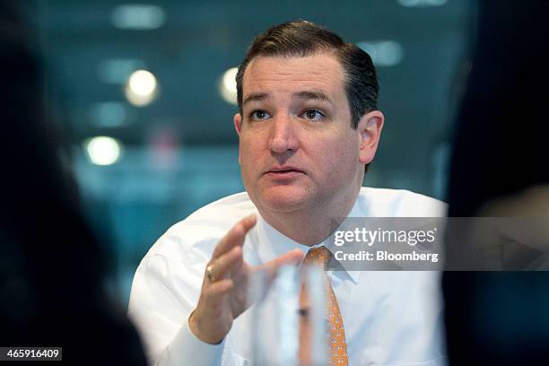 Senator Ted Cruz, a Republican from Texas, speaks during an interview in Washington, D.C., U.S., on Thursday, Jan. 30, 2014. Cruz vowed to use a...