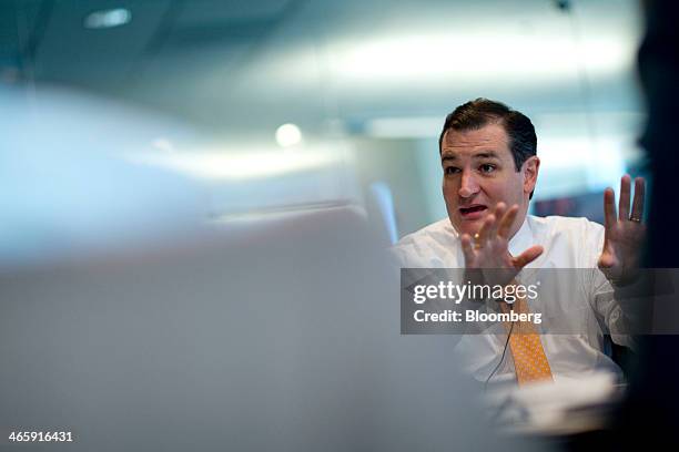 Senator Ted Cruz, a Republican from Texas, speaks during an interview in Washington, D.C., U.S., on Thursday, Jan. 30, 2014. Cruz vowed to use a...