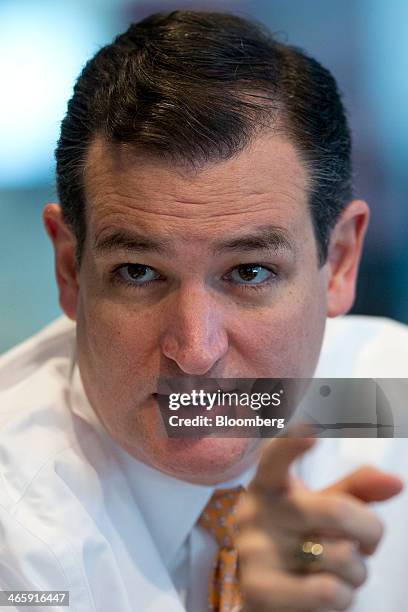 Senator Ted Cruz, a Republican from Texas, speaks during an interview in Washington, D.C., U.S., on Thursday, Jan. 30, 2014. Cruz vowed to use a...