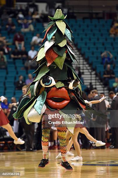 William Rothacker Jr 79 Stanford Mascot Tree Stock Photos, High-Res Pictures, and Images ...